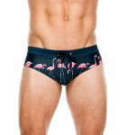 Swimwear Sunga Flamingo