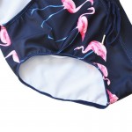 Swimwear Sunga Flamingo