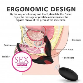 Plug Anal Masajeador de Prostata y Anillo para Hombre de en Plug anal | Uomo Store