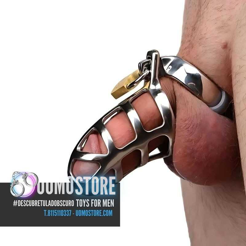Metal Worx Cock Cage Silver