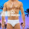 Swim Brief Bold